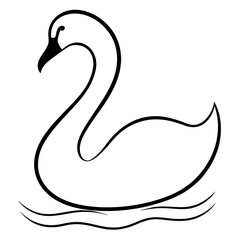 black swan vector illustration