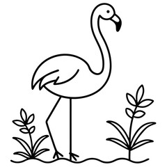 vector illustration of a bird