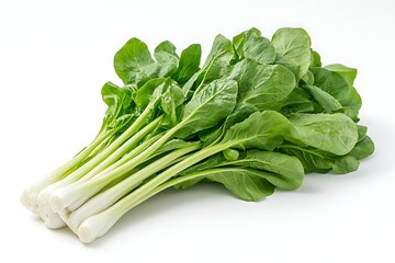 Fresh Greens Studio Shot