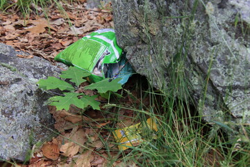 littering in the woods