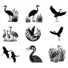 Obraz premium Sandhill Crane Svg 