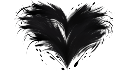 Abstract Black Heart Shape Design Dark Feather Texture Gothic Style  Passionate Romance Concept Mysterious Background Image