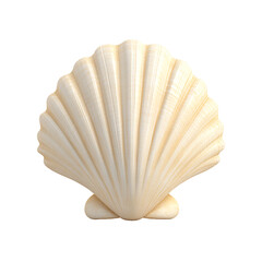 Elegant Seashell: A pearly white seashell with delicate ridges, perfect for coastal decor, beach themes, or adding a touch of oceanic beauty to any space.
