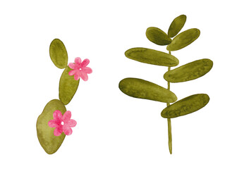 Watercolor plants. Green flowering tropical plants. Succulents in the desert. Summer and flowering plants