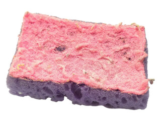 Closeup of a wellused, textured cleaning sponge.  Its worn pink and purple layers show signs of hard work, symbolizing resilience and the passage of time.