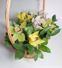 gift basket with single bowed handle. full with luxury flowers, bright orchids, pale pink and yellow, with fresh green leaves