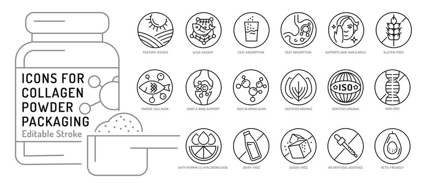 Collagen line icon set. Connective tissue protein pictogram.