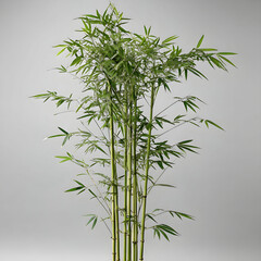 Obraz premium A single vibrant green bamboo stalk, isolated against a neutral gray background.