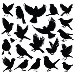 set of birds