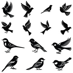 set of birds