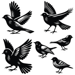 set of birds