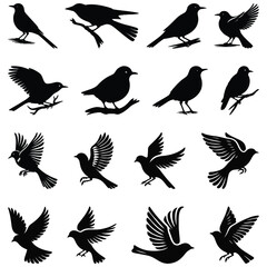 set of silhouettes of birds