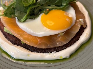 Gourmet breakfast with poached egg, smoked salmon, and rye bread, garnished with fresh greens and creamy sauce. A delicious and elegant dish, perfect for brunch or fine dining photography.