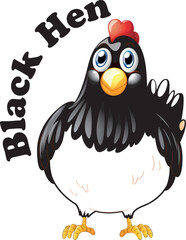 Black Hen