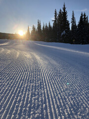 Groomed Ski Trail