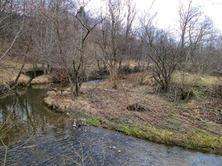 A beautiful river meander in early spring, with bare trees and water reflections