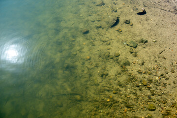pantano arenas de san pedro 2025