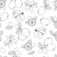 Lemon black outline on white background, fruit seamless pattern
