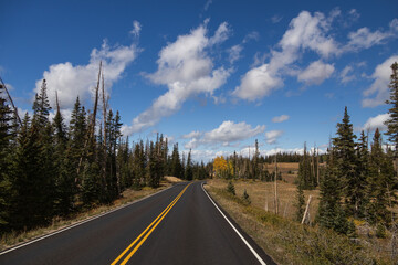 Naklejka premium Road through Cedar Breaks National Monument, Utah