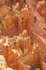 Colorful rock formations at Cedar Breaks National Monument, Utah