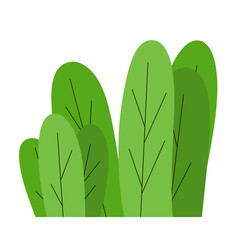 Green trees and bushes gardens park. Ecology plant natural botanic flora © Oksana