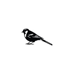 Sparrow bird silhouette isolated on white background. House Sparrow Silhouette.