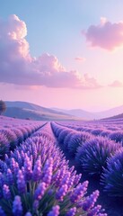 Obraz premium A dreamy lavender landscape unfolds against a backdrop of gentle pink and blue hues, lavender, soft colors, blue