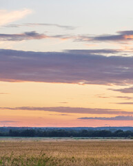 Beautiful sunset over a field of tall grass