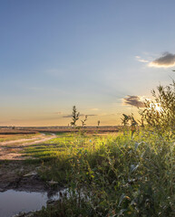 Obraz premium Field with a dirt road and a stream