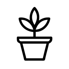 Potted Plant