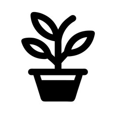 Potted Plant