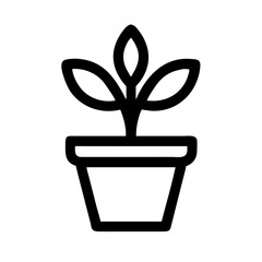 Potted Plant