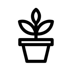Potted Plant
