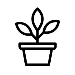 Potted Plant