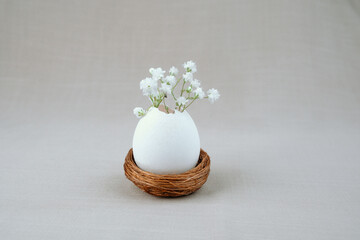 Eggshell vase with white baby   wreath flowers in nest. Easter background.