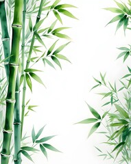 Green bamboo stems and leaves on white background, watercolor illustration.