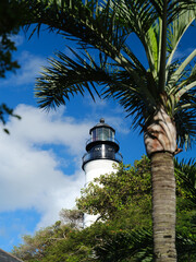 The historic Key West Lighthouse in the DFlorida Keys and the famous coconut Palm trees