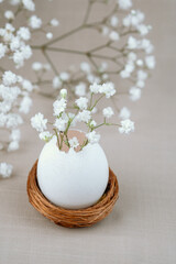 Eggshell vase with white baby   wreath flowers in nest. Easter background.