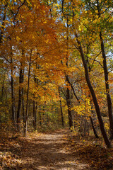 Beautiful Autumn scenery along Spencer Gorge hiking trail in Hamilton, with access to Tew Falls, Ontario, Canada
