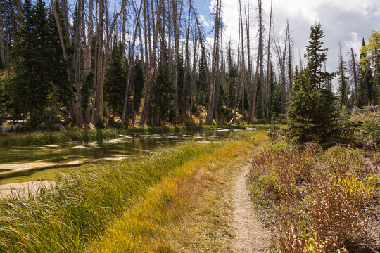 Hiking trail along Alpine Lake at Cedar Breaks National Monument, Utah