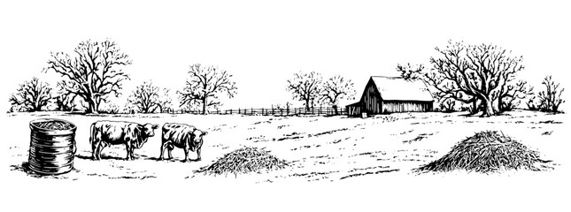 Fototapeta premium Engraved illustration of a serene countryside with cows grazing near a rustic barn in the winter light
