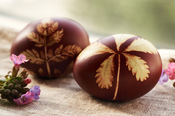 Closeup of brown Easter egg dyed with onion peels with a pattern of fresh herbs