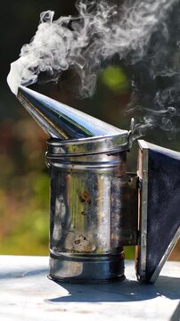 Metal bee smocker for beekeeping. Close up of chimney with smoke on apiary. Vertical video