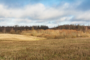Fototapeta premium A peaceful landscape with a grassy field, vibrant early spring trees, and a cloudy sky. The gentle slopes and winding path evoke a sense of calm and natural beauty.