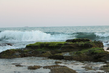 SUnset Over The Sea Of Summer