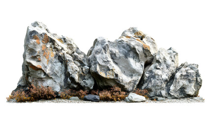 Group of Textured Rocks with Autumnal Plants, Ideal for Landscape Design