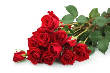 Obraz premium A dozen deep red roses, stems and leaves intact, arranged loosely on a white background.