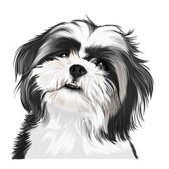 Cute puppy portrait illustration