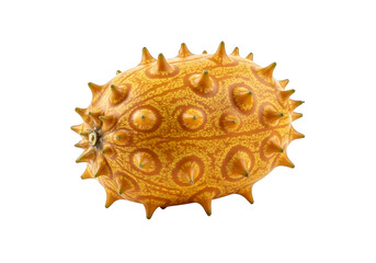 Obraz premium Kiwano isolated on transparent background