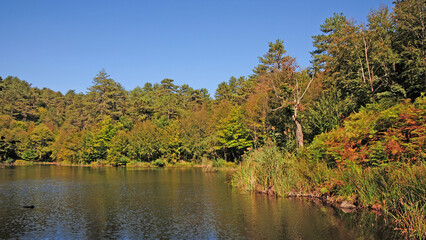 Fototapeta premium Located in Yalova, Turkey, Dipsiz Lake is one of the protected areas of the region.